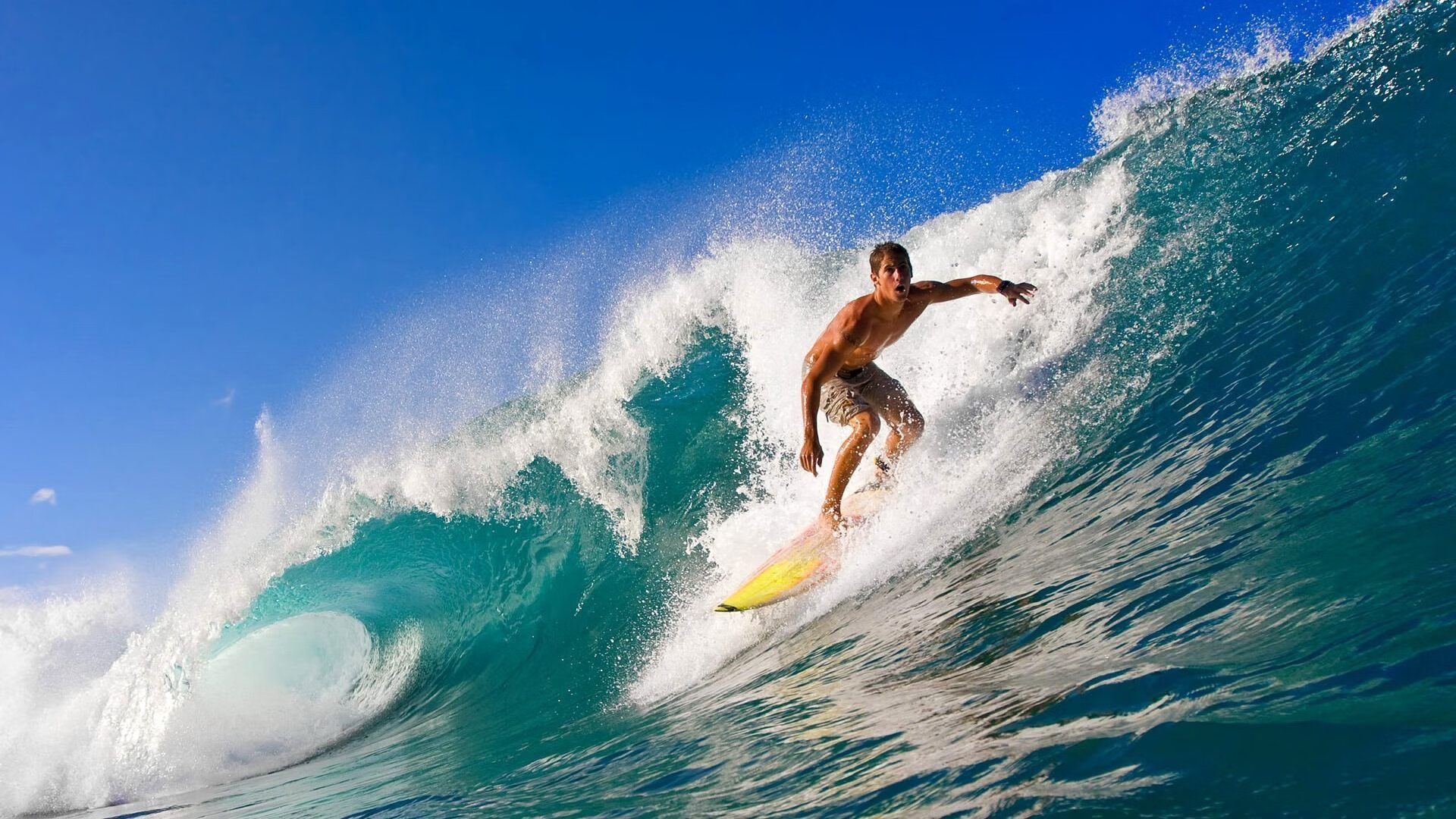 欧洲杯观众礼仪与赛场文明成为媒体关注点,欧洲杯观众席